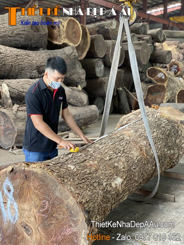 Xưởng sản xuất gỗ nguyên tấm