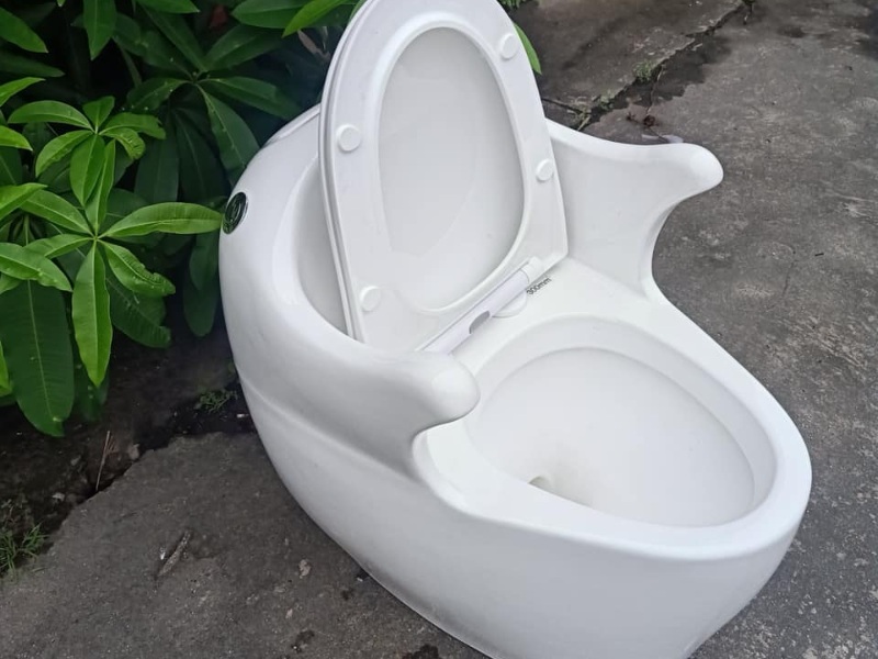 bồn cầu hiện đại cho người già